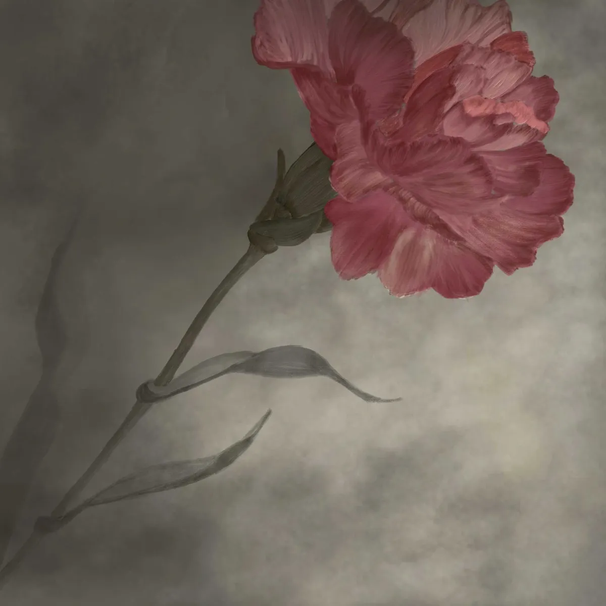Ottoman Carnation artwork.